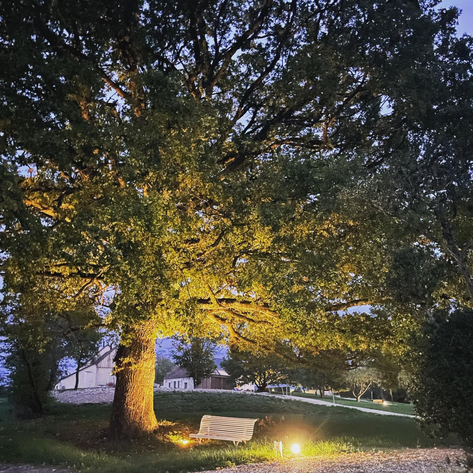 Le Hameau De La Closerie Flere-la-Riviere Екстериор снимка